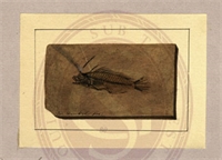 a7\8e22d4-8ee1-4ef1-b494-2dea5eb70fcb.jpg