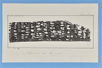 a7\ec240b-c4e8-4643-9d8b-e74bd8c34a7a.jpg