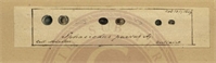 a8\a38505-706e-4e32-8798-6f3f85c6ab4d.jpg