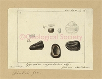 aa\8b1abb-cd65-4166-84a5-0331020e5813.jpg