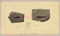 b0\25ca9c-5dd2-47c7-9634-ba6bba0343bf.jpg