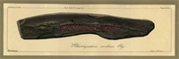 b0\a19903-6384-4f22-81e4-ba55ddaf72b6.jpg