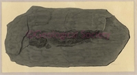 b2\169496-0d24-487b-a52c-ec80dbade697.jpg