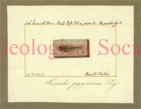 b2\43485c-5884-4e5f-a0a7-7fcece5e8698.jpg