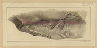 b4\6ad42d-a031-43b2-85b2-999501690252.jpg