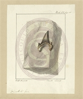 bb\af463d-8504-4a00-9c36-7dbe07df8ae5.jpg