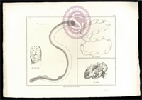 bc\80269e-c15d-4038-bab0-7fc9d736a8f9.jpg