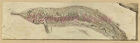 c0\4c153b-4eb2-42f9-9577-36cb9546ae77.jpg