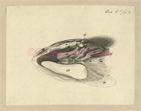 c1\fa3963-68a2-4378-b85b-465dccec115d.jpg