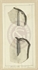 c3\ba9e20-f618-4690-ac43-384f618b3aeb.jpg