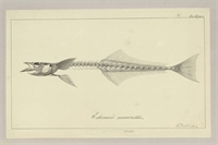 c7\db1a2a-03ef-440b-b9c6-280ca37952de.jpg