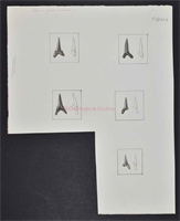 ce\ffa2a1-35bb-4ab7-9b42-a33d8f03fede.jpg
