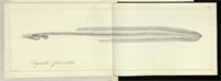 d1\178a99-dda9-4bda-92d7-c95195af72a6.jpg