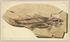 d4\b961cf-b9b1-4f2a-bb39-37f2a9ccdc58.jpg