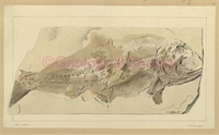 d6\4b690a-9f8e-4516-bf06-3d18240ad03b.jpg
