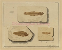 db\648abc-5c9b-4b29-afe1-e7763e97a699.jpg