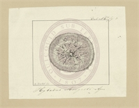 db\e3ab85-6195-4384-8d05-2a3b685294ed.jpg