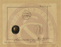 dc\d92eef-f915-46bf-aba5-db7b1e8985e2.jpg