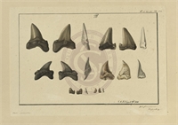 de\6d14b4-8ef7-4bf7-8ad3-9d193ab81ef7.jpg
