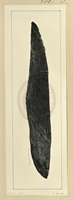 df\136aa6-2d57-439d-be11-9f09ed6f96ea.jpg