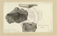 e1\1feac0-ec21-4921-a6b0-52e2a7aedc5d.jpg