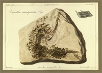 e6\3a2155-43b0-41bf-b842-b37966bf5928.jpg