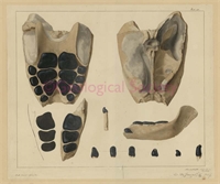ea\c1856c-1be7-4ce4-87e1-46057c060151.jpg