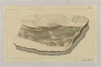 eb\1768ec-d7d3-41a5-b08c-86f64866ffaf.jpg