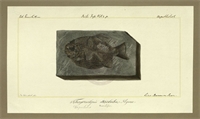 eb\d6f46c-be27-4b68-a630-aafc9686527a.jpg