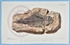 ed\85540e-9c63-4c5e-a1ca-6548b88357b0.jpg