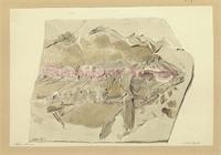 f1\189ecd-d28c-482f-9653-010e00fd4485.jpg