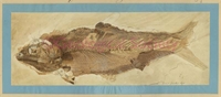 f2\0886eb-77af-4c4d-b716-4603edb6e3b2.jpg