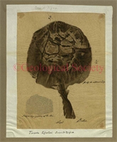 f6\6426da-0736-414a-a184-fdba164de28e.jpg