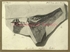 f9\1de8cf-87a5-4173-afeb-3e40f7d209ae.jpg