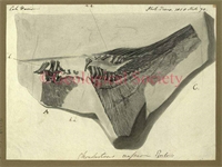 f9\1de8cf-87a5-4173-afeb-3e40f7d209ae.jpg